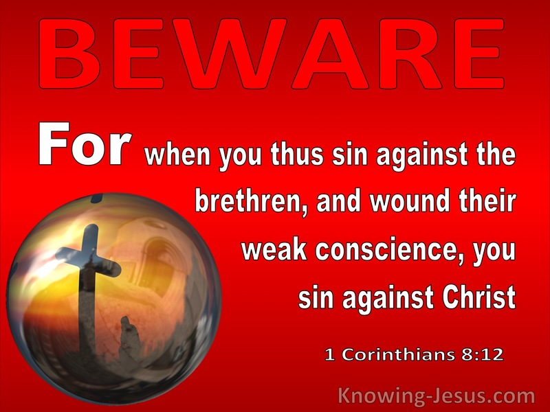 1 Corinthians When You Sin Against The Brethren 8-12 (red)